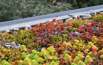the cost of Sutton End green roof installation