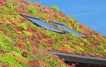 Sutton End living roof systems