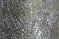 Sutton End fibreglass roof work